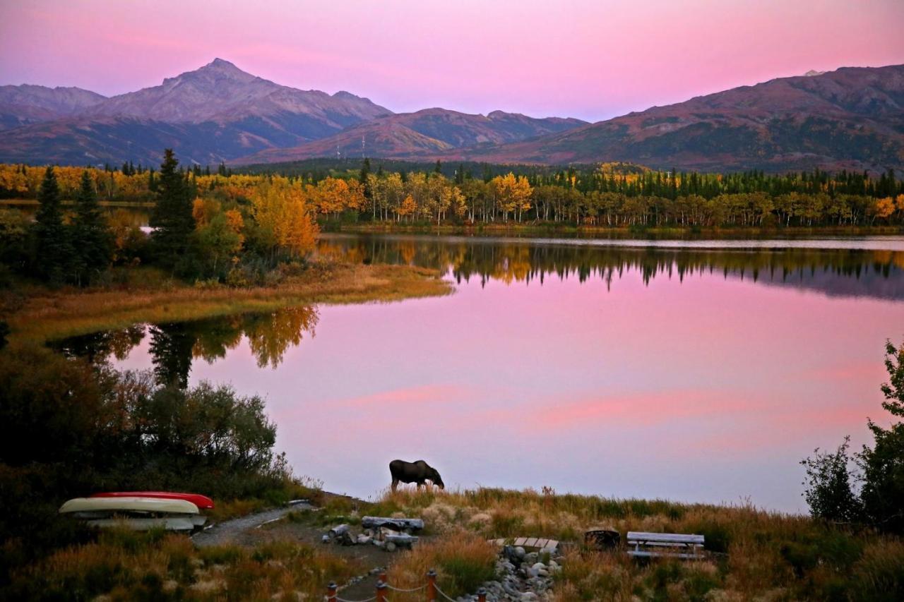 Denali Lakeview Inn Healy Exterior foto